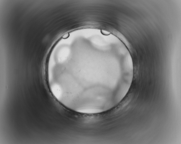 X0000093521099200711091735