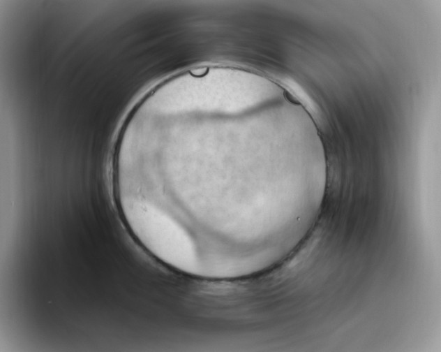 X0000093521100200711091735