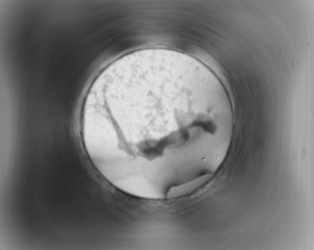 X0000093521104200711091735