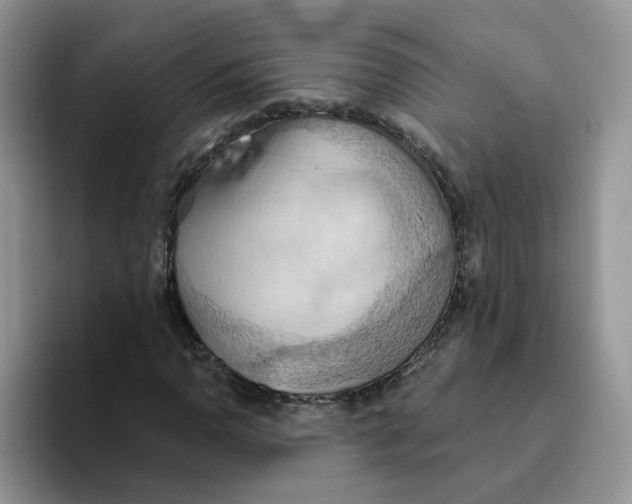 X0000093521110200711091734