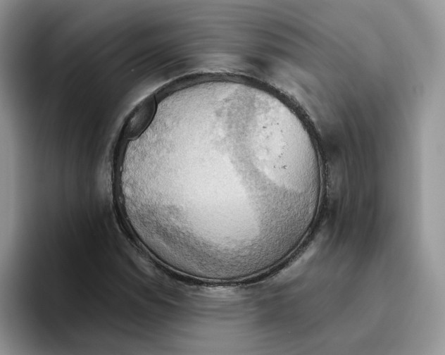 X0000093521114200711091734