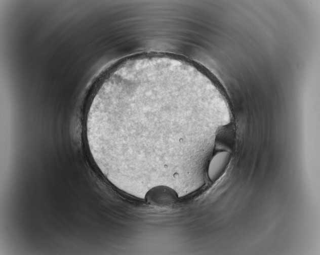 X0000093521115200711091734