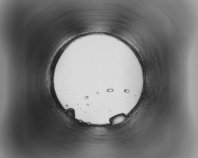 X0000093521119200711091734