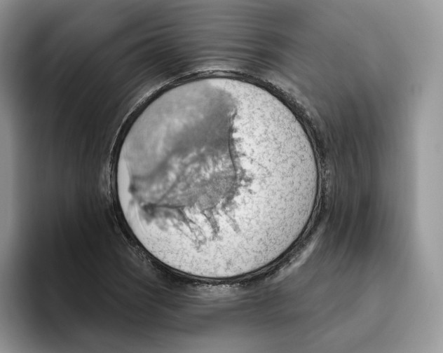 X0000093521121200711091734