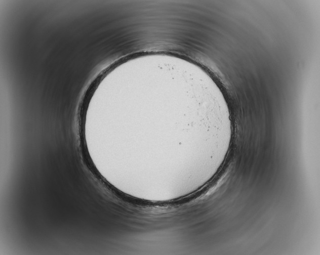 X0000093521122200711091734