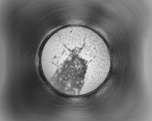 X0000093521125200711091734