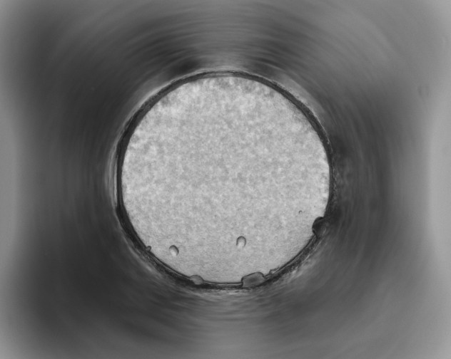 X0000093521127200711091734