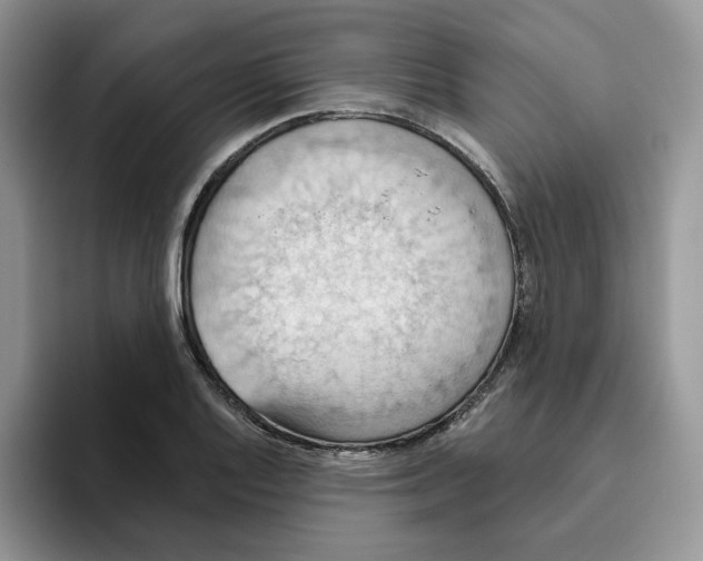 X0000093521128200711091735