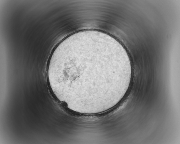 X0000093521129200711091735