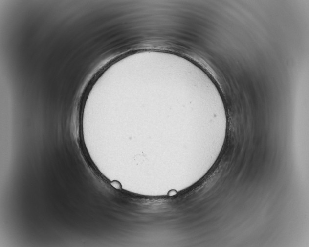 X0000093521131200711091735