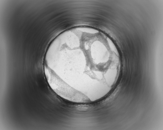 X0000093521137200711091735