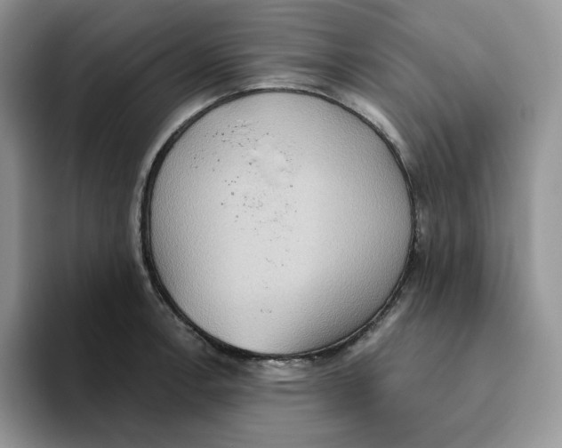 X0000093521138200711091735