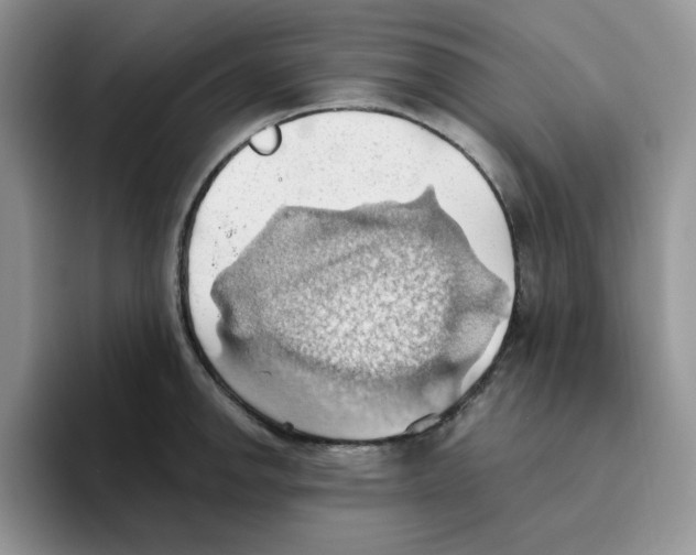 X0000093521142200711091735