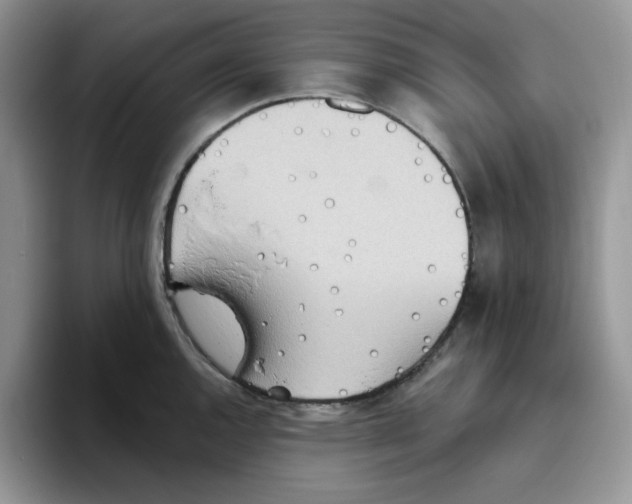 X0000093521144200711091735