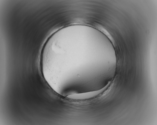 X0000093521146200711091735