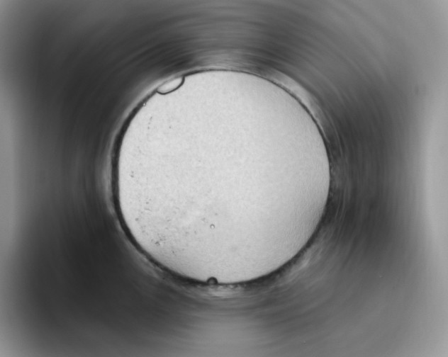 X0000093521147200711091735