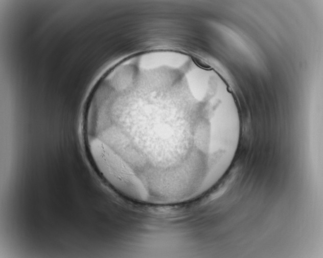 X0000093521149200711091735