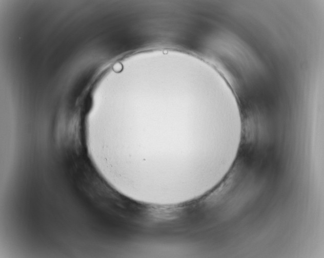 X0000093521150200711091735