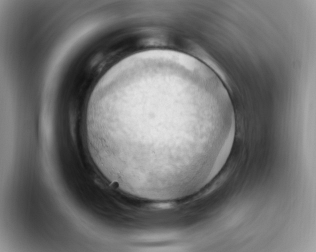 X0000093521151200711091735