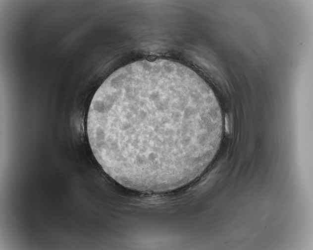 X0000093521155200711091734