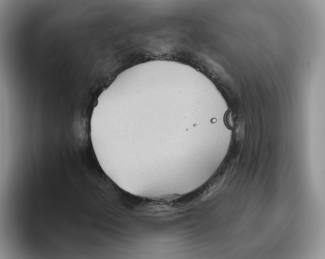 X0000093521156200711091734