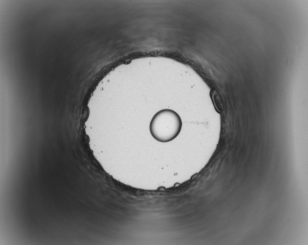 X0000093521157200711091734