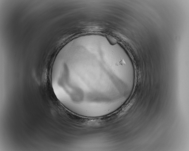 X0000093521161200711091734