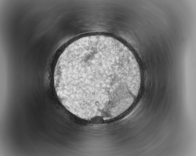 X0000093521163200711091734