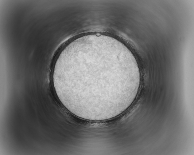 X0000093521166200711091734