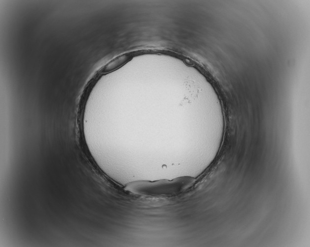 X0000093521168200711091734