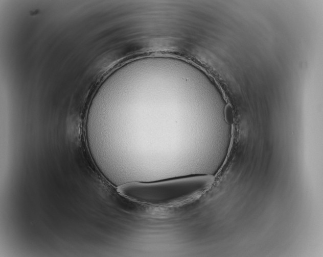 X0000093521169200711091734