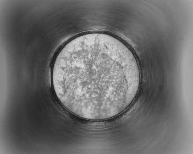 X0000093521171200711091734