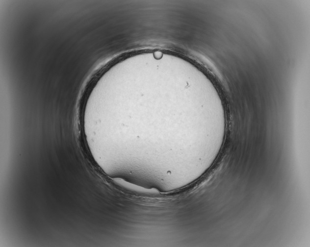 X0000093521172200711091734