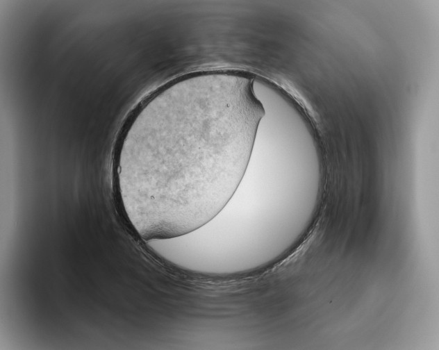 X0000093521173200711091734