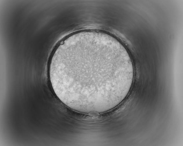 X0000093521174200711091734