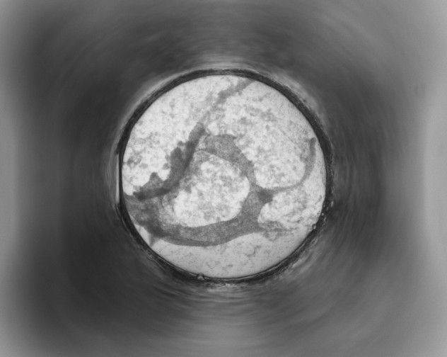 X0000093521175200711091734