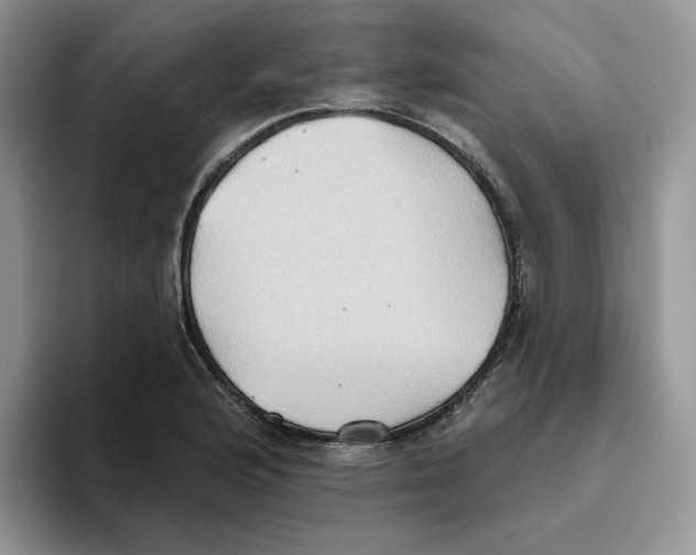 X0000093521176200711091734