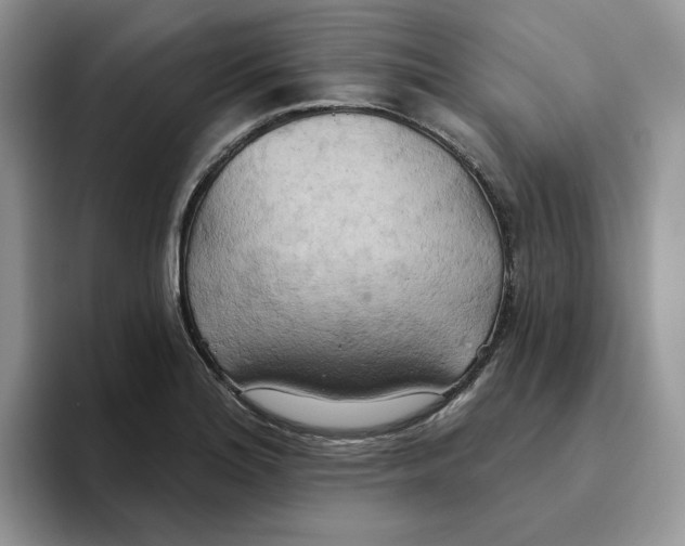 X0000093521180200711091734