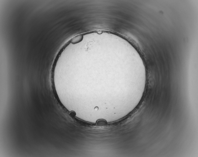 X0000093521182200711091734