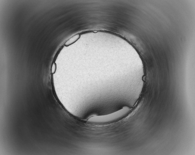 X0000093521184200711091734