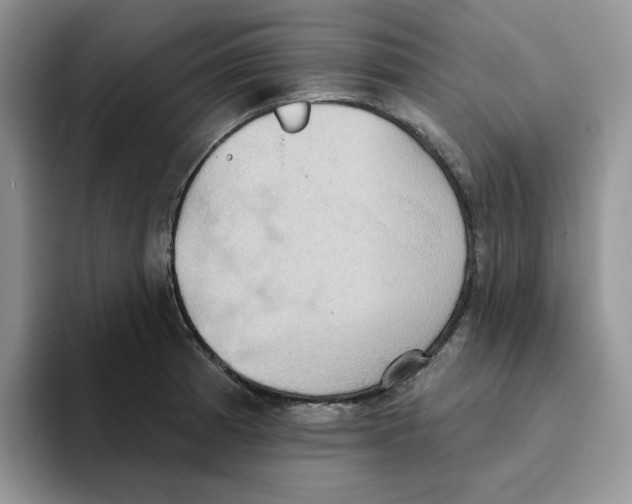 X0000093521185200711091734