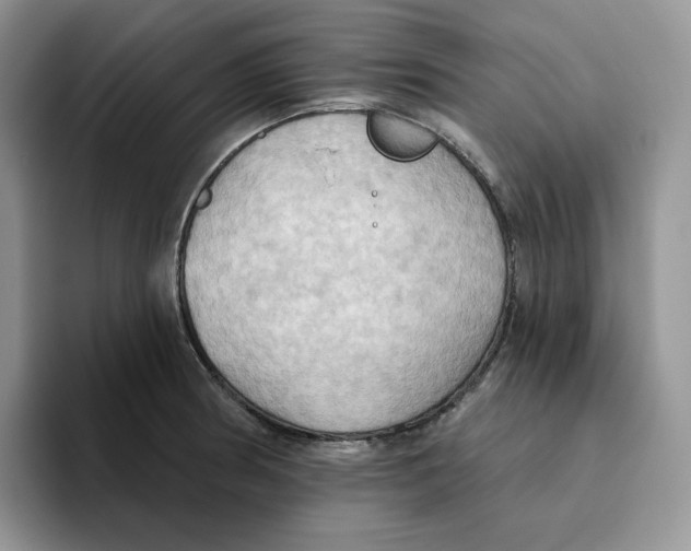 X0000093521186200711091734