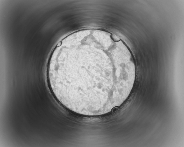 X0000093521187200711091734