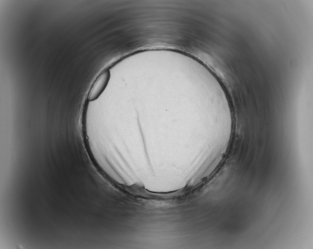 X0000093521189200711091734