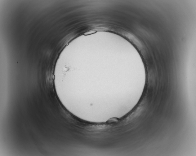 X0000093521193200711091734