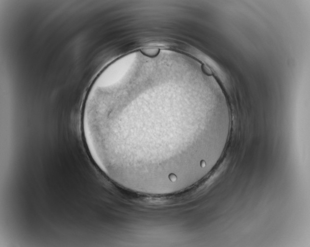 X0000093521194200711091734