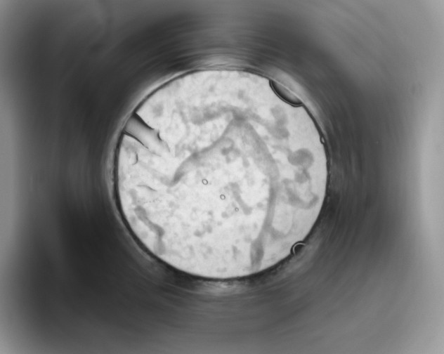 X0000093521195200711091734