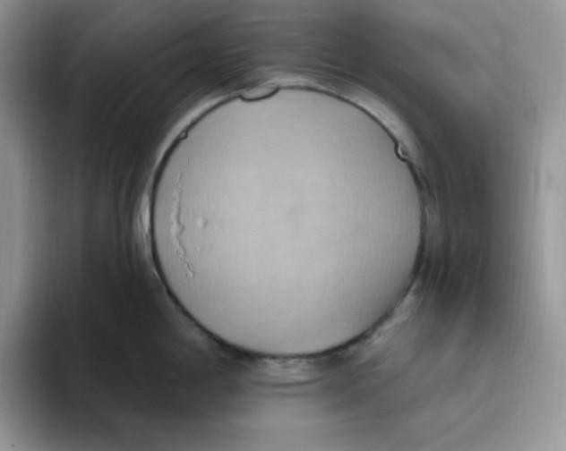 X0000093521198200711091734