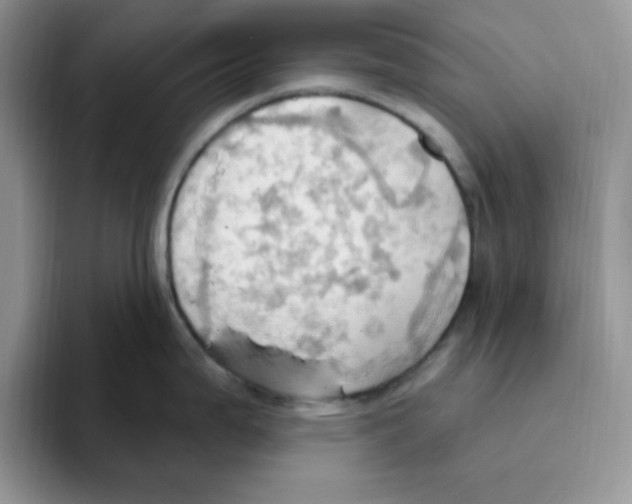 X0000093521199200711091734