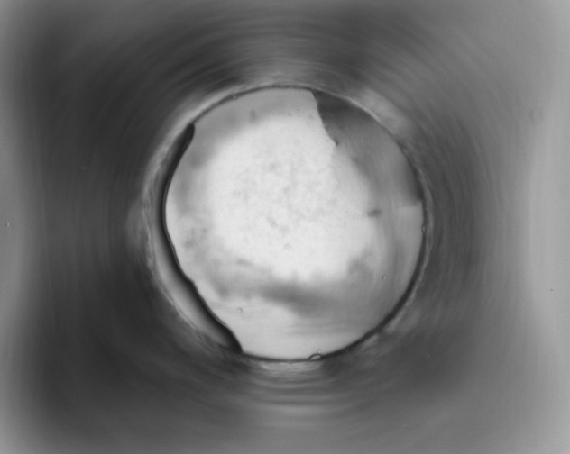 X0000093521200200711091734